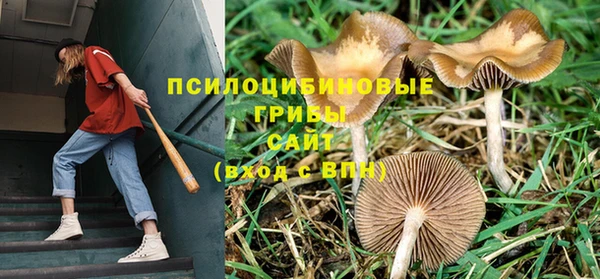 мяу мяу кристалл Яровое