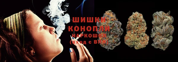 Альфа ПВП Верея