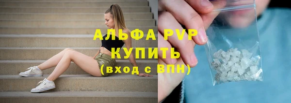 Альфа ПВП Верея