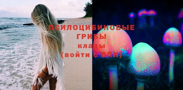 индика Вязники