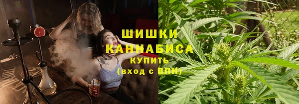 Альфа ПВП Верея