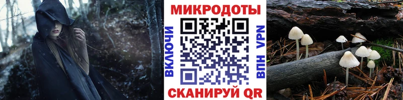 Галлюциногенные грибы Psilocybine cubensis  Вихоревка 