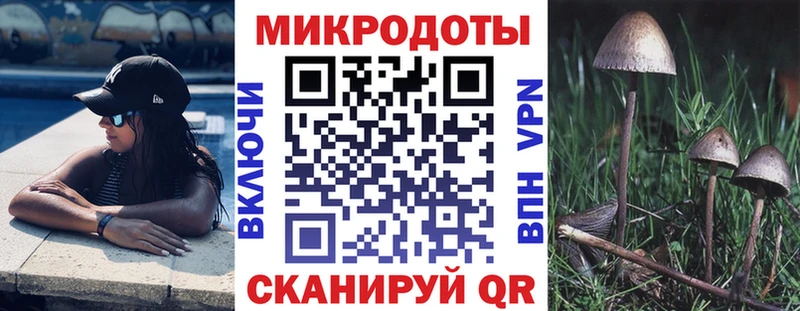 Галлюциногенные грибы Cubensis Вихоревка